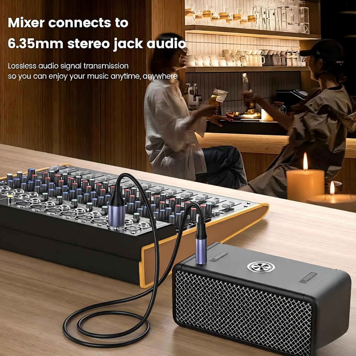 6.35mm TRS Male to XLR Female 3.3FT, 1/4 Inch Balanced Studio Grade Audio Cable forStudio Harmonizers, Equalizer, Amplifier, Microphone, Mixer, Dynamic Microphone, Electronic Keyboard-AU20-B-1.5