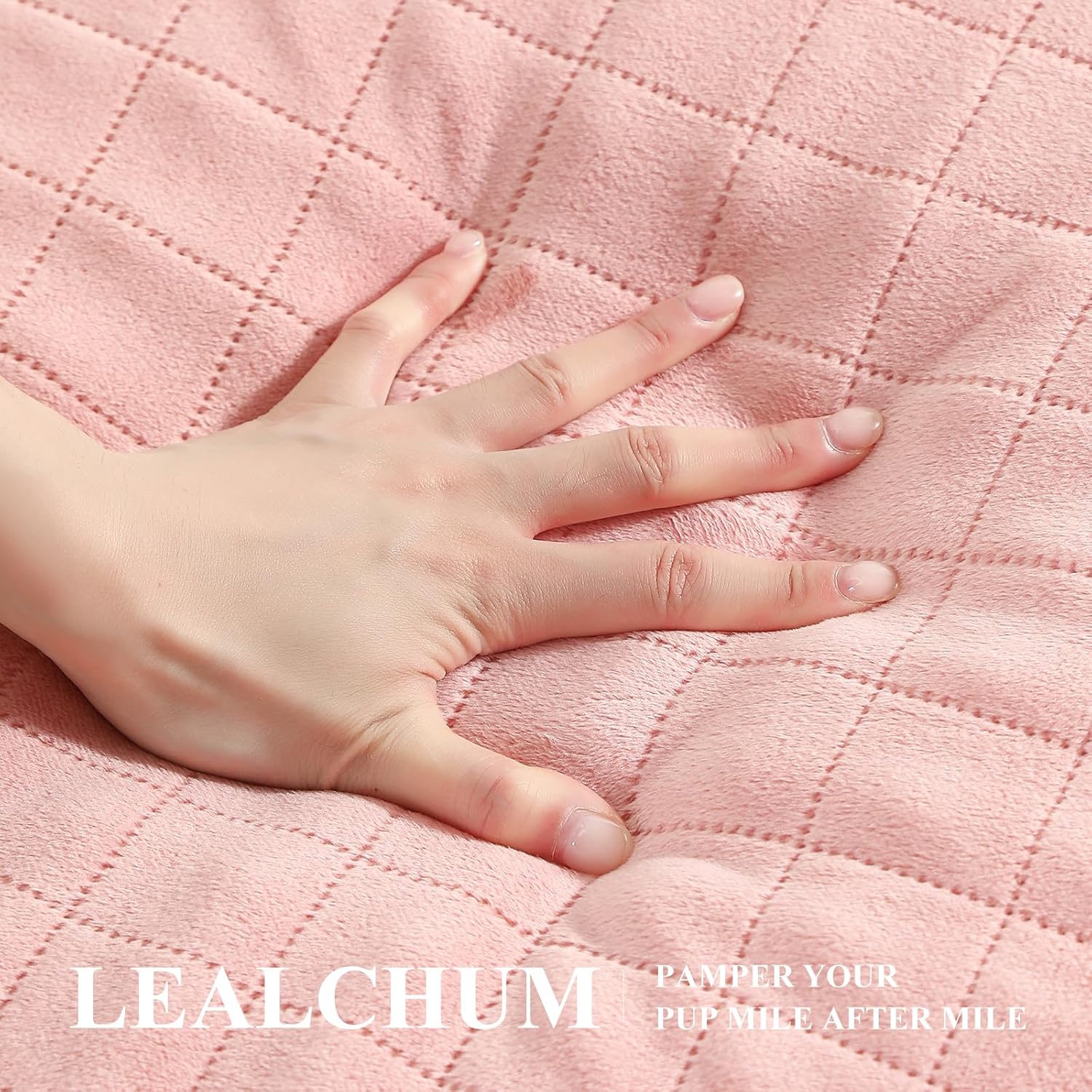 Dog Car Seat for Medium/Large Dogs,2 Clip-On Safety Leashs for 2 Small Dogs,Removable and Washable Comfy Pet Car Seat,Easy to Install and Clean (Pink, Large)