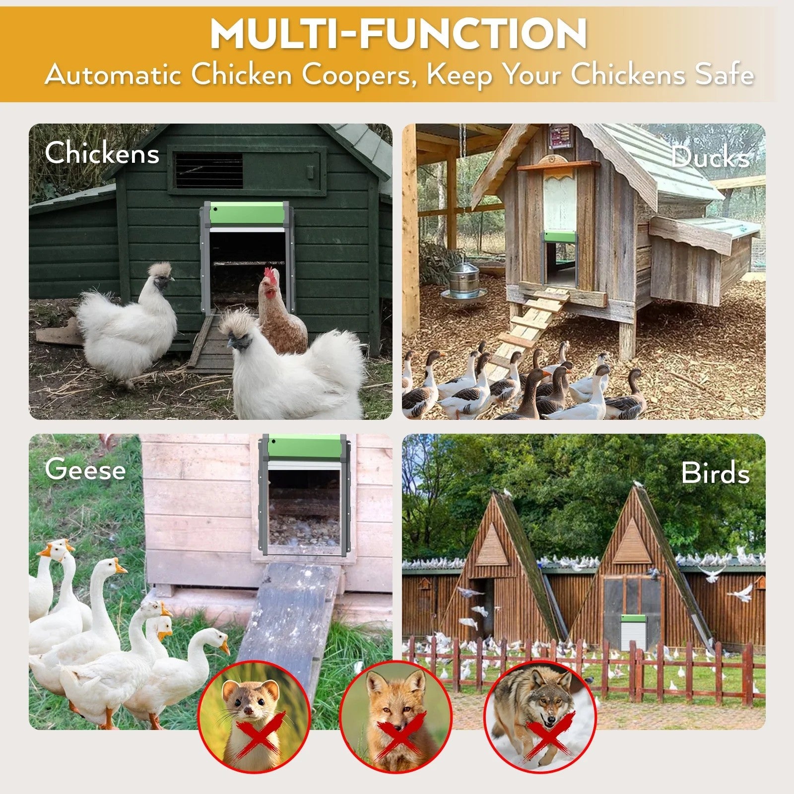 Automatic Chicken Coop Door Solar Powered, 4 Modes Battery Powered Auto Chicken Door with Timer & Light Sensor, Remote Control, Aluminum Roller Shutter Door Look, Anti-Pinch Design