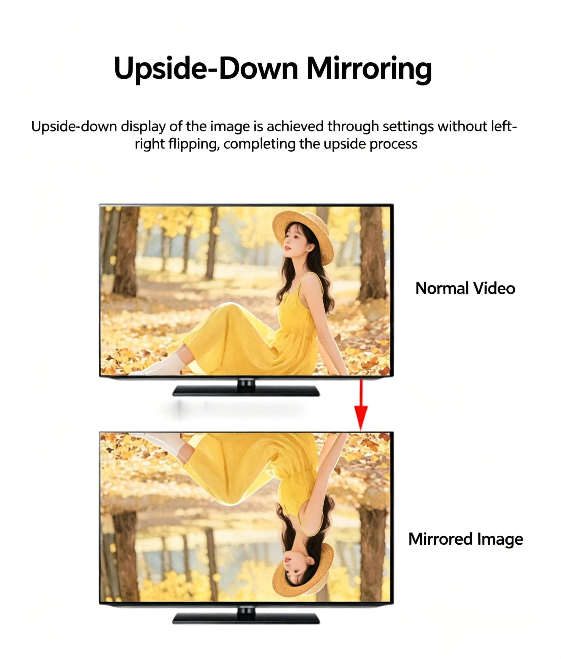 4K 60Hz Video Rotator 90°/180°/270° Rotation Flip H DMI/DP Independent Audio Screenshot Zoom for Phone Drone Live Streaming